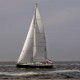 orion 49 sailboat